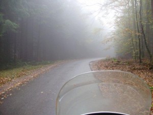 In den Wolken durch den Wald