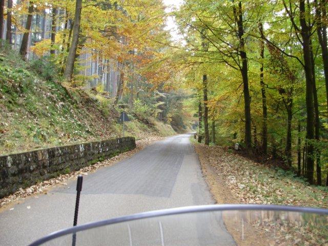 Zufahrt zum Hirschhorner Schloss