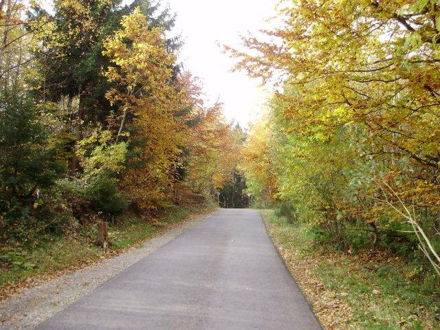 Strasse Kocherbach nach Tromm