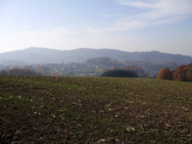 Blick auf Rippenweiler