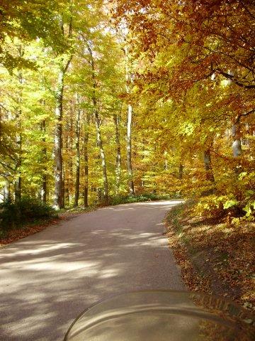Waldstrecke bei Ritschenweiler 2