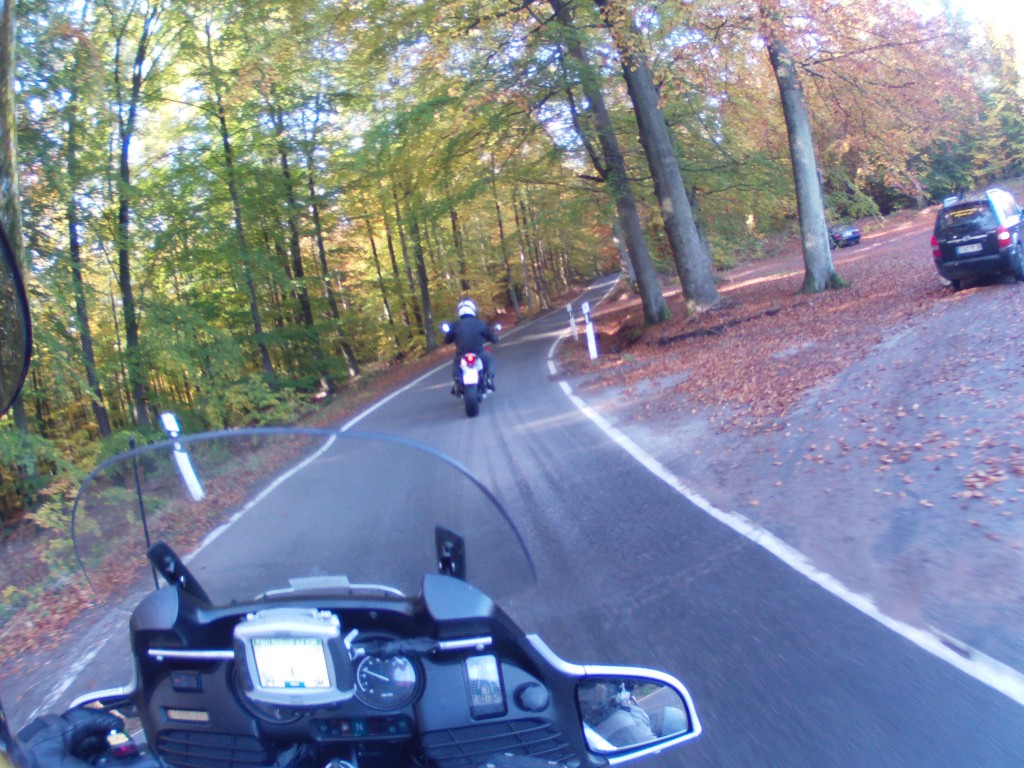Im Wald Richtung Elmsteiner Tal  Im Wald Richtung Elmsteiner Tal