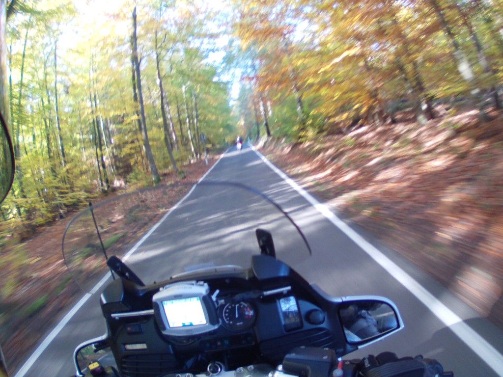 Weidenthal nach Elmsteiner Tal Weidenthal nach Elmsteiner Tal